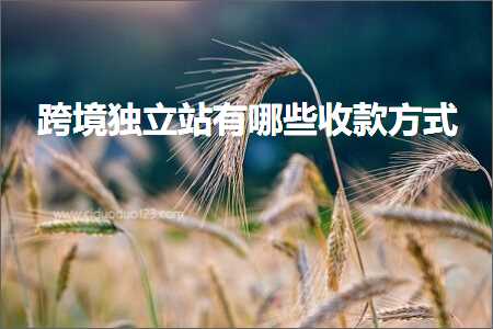 网站推广 排名 跨境电商知识:跨境独立站有哪些收款方式